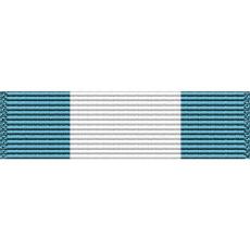 Washington Air National Guard Unit Citation Ribbon